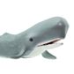 Safari Ltd Sperm Whale Wild