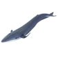 Safari Ltd Blue Whale