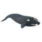 Safari Ltd Right Whale Wild Safari SeaLife