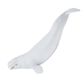 Safari Ltd Beluga Whale Mb Sea Life