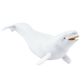 Safari Ltd Beluga Whale