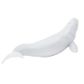 Safari Ltd Beluga Whale Mb Sea Life