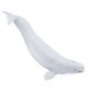 Safari Ltd Beluga Whale Mb Sea Life