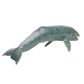 Safari Ltd Gray Whale Mb Sea Life