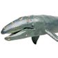 Safari Ltd Gray Whale Mb Sea Life