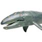 Safari Ltd Gray Whale