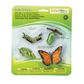 Safari Ltd Life Cycle Of A Monarch Butterfly  Safar