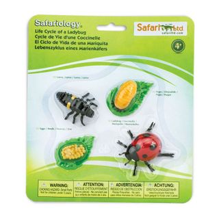 Safari Ltd Life Cycle of a Ladybug