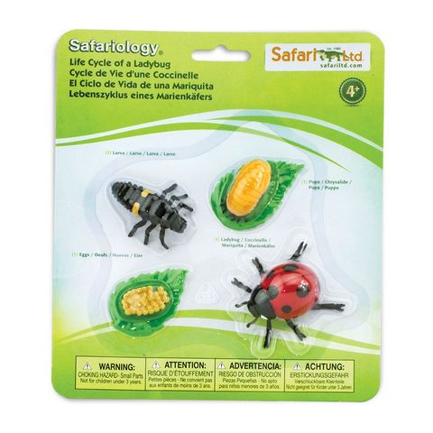 Safari Ltd Life Cycle Of A Ladybug Safariology