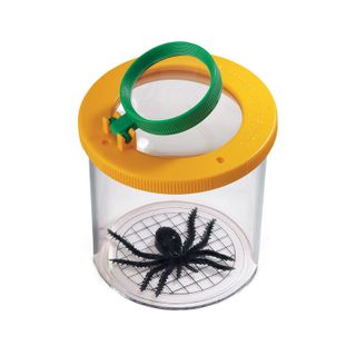 Safari Ltd World'S Best Bug Jar Safariology 1 Pce