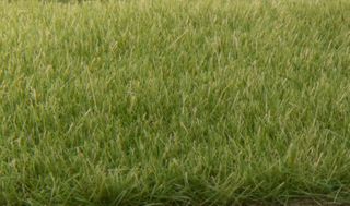 Woodland Scenics 4mm Static Grass MediumGreen