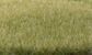 Woodland Scenics 4mm Static Grass LightGreen