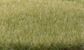 Woodland Scenics 4mm Static Grass LightGreen