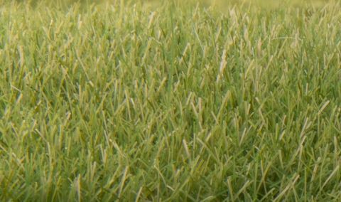 Woodland Scenics 7mm Static Grass MediumGreen