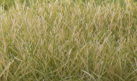 Woodland Scenics 12mm Static Grass LightGreen