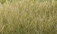 Woodland Scenics 12mm Static Grass LightGreen