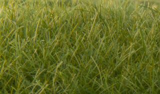 Woodland Scenics 12mm Static Grass DarkGreen