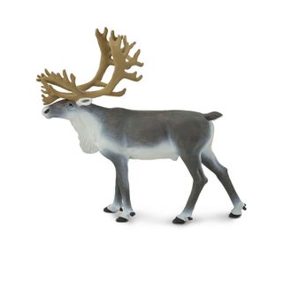 Safari Ltd Caribou North American Wildlife