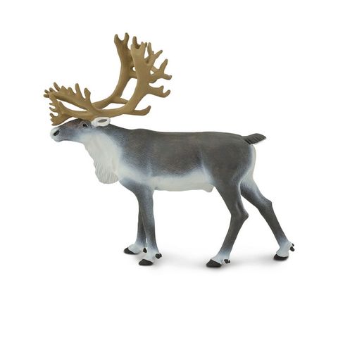 Safari Ltd Caribou