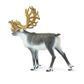 Safari Ltd Caribou North American Wildlife