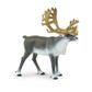 Safari Ltd Caribou North American Wildlife