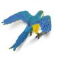 Safari Ltd Blue & Gold Macaw