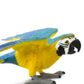 Safari Ltd Blue & Gold Macaw