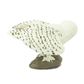 Safari Ltd Snowy Owl