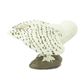 Safari Ltd Snowy Owl Wings Of The World