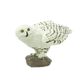 Safari Ltd Snowy Owl