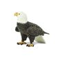 Safari Ltd Bald Eagle Wings Of The World