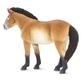 Safari Ltd Przewalskis Horse Wc Horses