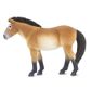 Safari Ltd Przewalskis Horse Wc Horses