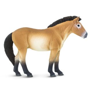 Safari Ltd Przewalskis Horse Wc Horses