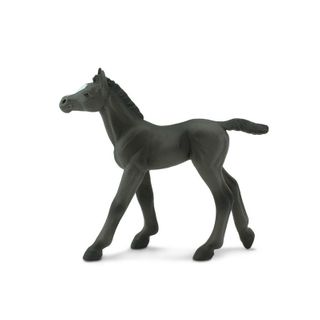 Safari Ltd Arabian Foal