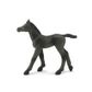 Safari Ltd Arabian Foal