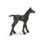 Safari Ltd Arabian Foal