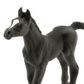 Safari Ltd Arabian Foal Wc Horses