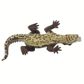 Safari Ltd Caiman Wild Safari Wildlife