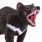 Safari Ltd Tasmanian Devil Wild SafariWildlife*