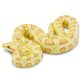 Safari Ltd Albino Burmese Python