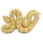 Safari Ltd Albino Burmese Python Incredible Creatu