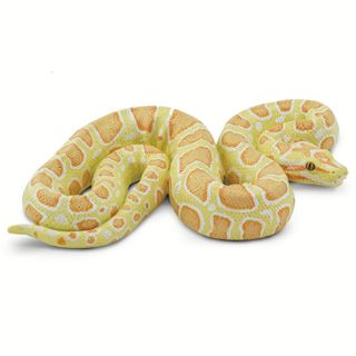 Safari Ltd Albino Burmese Python Incredible Creatu