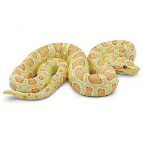 Safari Ltd Albino Burmese Python Incredible Creatu