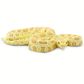Safari Ltd Albino Burmese Python