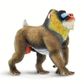 Safari Ltd Mandrill