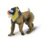 Safari Ltd Mandrill