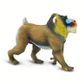 Safari Ltd Mandrill Wild Safari Wildlife