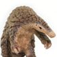 Safari Ltd Pangolin Incredible Creatures