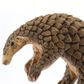 Safari Ltd Pangolin Incredible Creatures